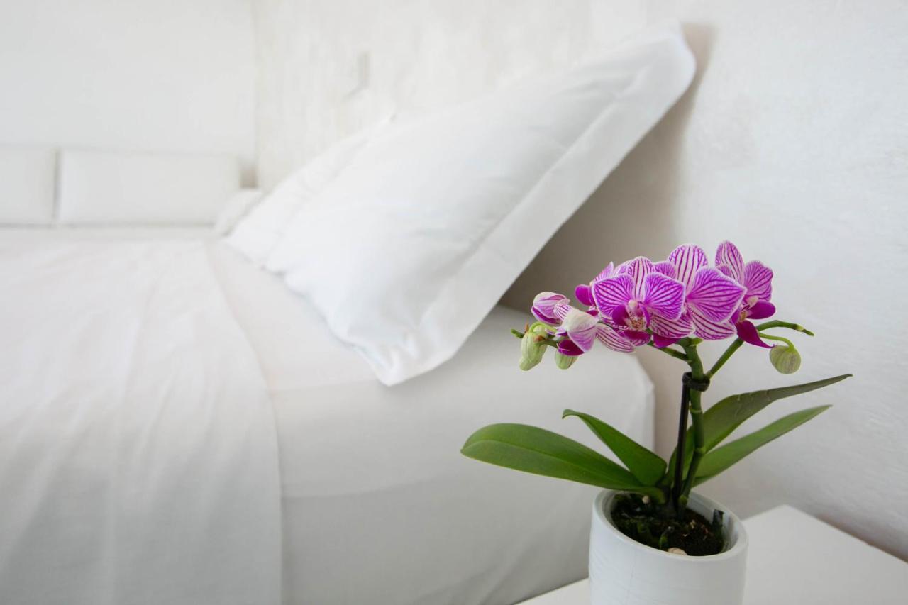 Hotel Nuovo Giardino ริมินี ภายนอก รูปภาพ